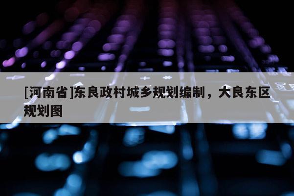 [河南省]東良政村城鄉(xiāng)規(guī)劃編制，大良東區(qū)規(guī)劃圖