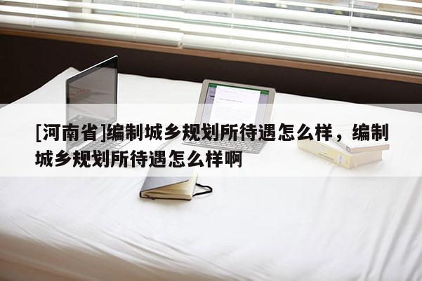 [河南省]編制城鄉規劃所待遇怎么樣，編制城鄉規劃所待遇怎么樣啊