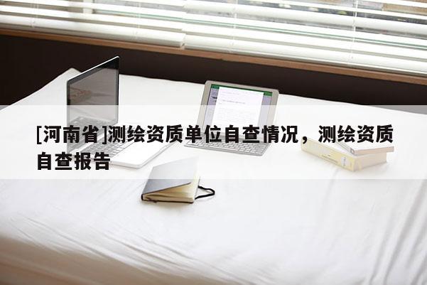 [河南省]測繪資質單位自查情況，測繪資質自查報告