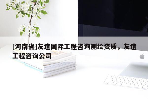 [河南省]友誼國際工程咨詢測繪資質，友誼工程咨詢公司