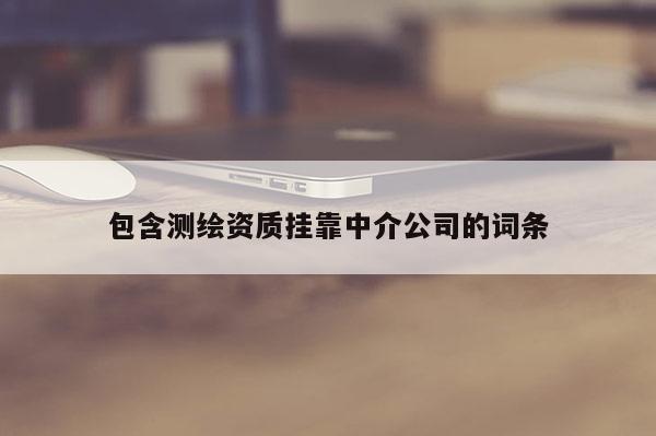 包含測繪資質 *** 中介公司的詞條