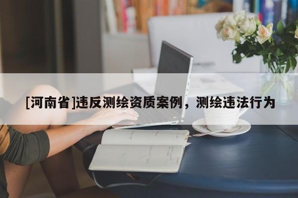 [河南省]違反測(cè)繪資質(zhì)案例，測(cè)繪違法行為