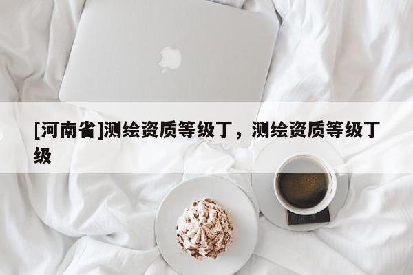 [河南省]測繪資質等級丁，測繪資質等級丁級