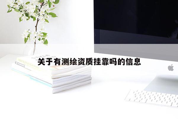 關于有測繪資質掛靠嗎的信息