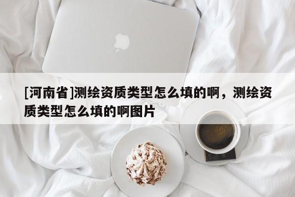 [河南省]測繪資質(zhì)類型怎么填的啊，測繪資質(zhì)類型怎么填的啊圖片