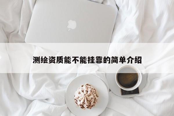 測繪資質(zhì)能不能 *** 的簡單介紹