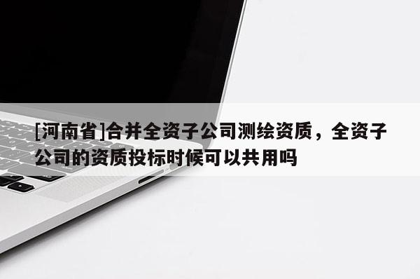 [河南省]合并全資子公司測繪資質，全資子公司的資質投標時候可以共用嗎